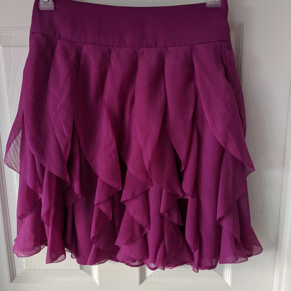 ANN TAYLOR Women's skirt